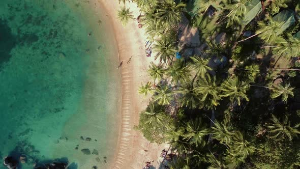 Palm Tree Beach At Tropical Island