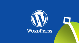 Wordpress WooCommerce Plugins