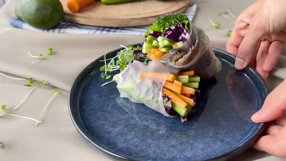 Spring Rolls With Fresh Vegetables