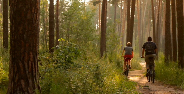 Two Cyclists on Forest Trail