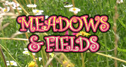 Meadows and Field