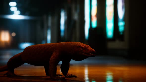 Comodo Dragon in Underground Metro Station alt