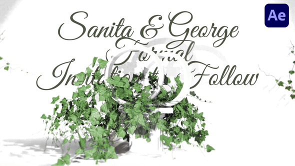 Botanical Leaves Wedding Invitation broadcast-packages template preview