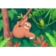 Cartoon Sloth on Branch 