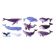 Cartoon Whales 