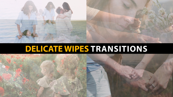 Delicate Wipes Transitions | After Effects Elements template preview