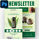 Natural Hair Solutions Email Newsletter PSD Template 