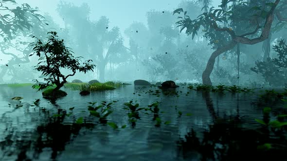 Jungle Swamps alt
