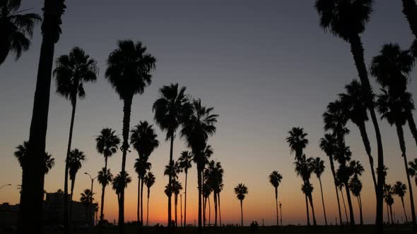 Silhouettes Palm Trees and People Walk on Beach at Sunset California Coast USA