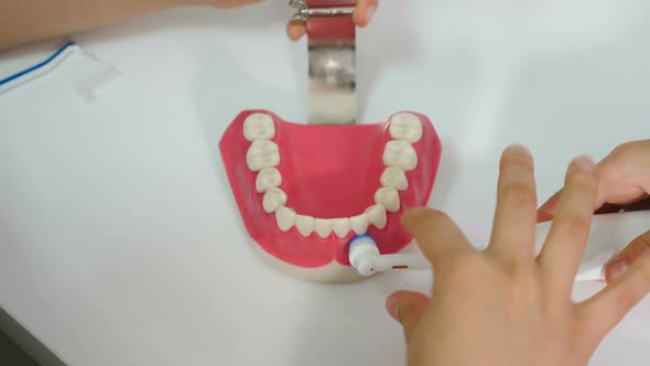 Orthodontist Showing How To Clean Teeth Using Electric Toothbrush and Jaw Model. Boy Trying To Clean alt