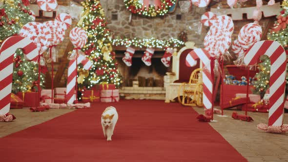 Christmas Big House of Santa Claus Lots of Christmas Trees and Candies alt