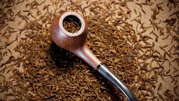 Old fashioned tobacco pipe.Elegant pipe on fabric in the middle of dried tobacco alt