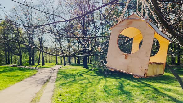 Closeup of a Birdhouse in the Park on a Clear Sunny Spring Day Lush Green Grass in the Meadows alt
