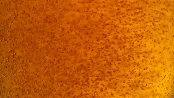 Pouring Beer Into Glass alt