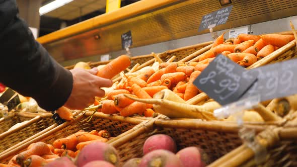 Hand of Man Selecting Fresh Carrot in Grocery Store or Vegetable Shop alt