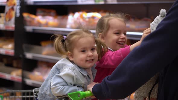 Shopping List Food Crises Concepts alt