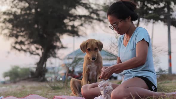 Young woman is helping a mutt homeless dog by giving him some chickean meat and bones to feed him. alt