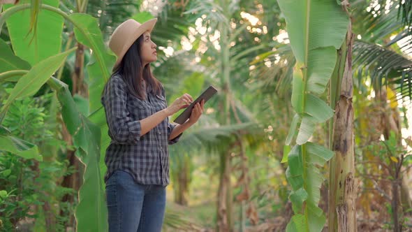 Young woman farmer monitoring orchard and sends data to the cloud from the tablet.