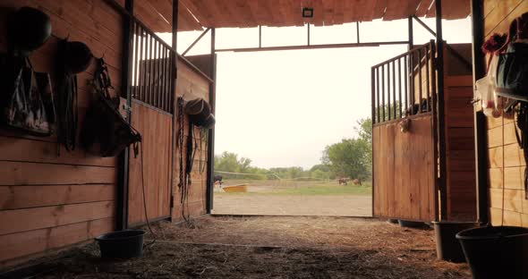Filming in the Stables, the View Through the Eyes of a Man Who Goes Outside From the Stables alt