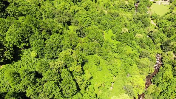 Flying Drone Over Green Mountains with Trees Landscape Top View From Above Aerial Shot Inspirational