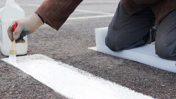 A Man Paints with a Brush on the Asphalt Markings for a Pedestrian Crossing