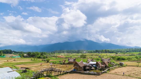 Rice paddy farming filed and village at Pua district Nan province, Thailand; zoom in - time lapse