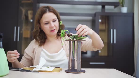 Woman Roots Indoor Plant Sprouts in Special Glass Flasks alt