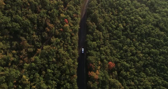 Aerial Drone Overhead of Single Car Driving Down Curvy Mountain Road