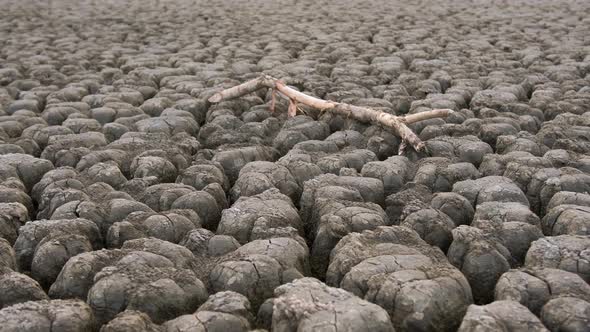Huge Surface of a Very Dry Land Suffering From Drought, with a Piece of Dry Branch. alt