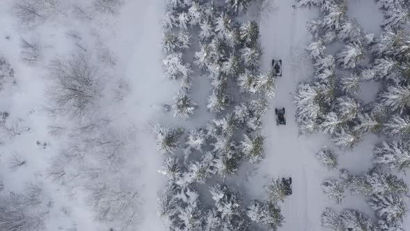 Snowy Forest Following Atv Vehicles Aerial View alt