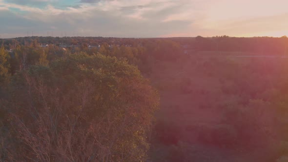 Slow aerial flight circeling over a tree outside nepean city, ontario at sunset with the sun shining alt