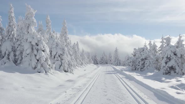 A Crosscountry Skiing Trail in a Snowcovered Winter Landscape with Trees alt