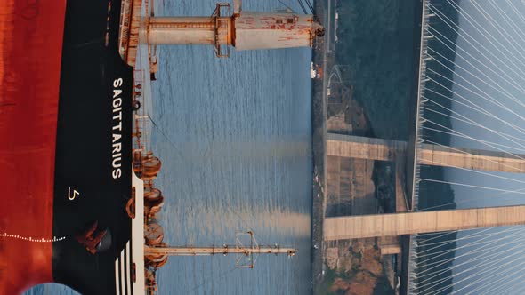 New Bridge of Istanbul Bosphorus alt