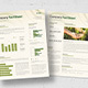 Fact Sheet Template 