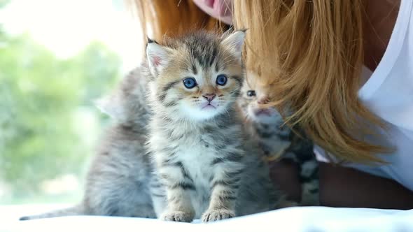 Asian Woman Playing With Cute Kittens alt
