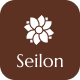 Seilon - Spa & Beauty Salon Elementor Template Kit