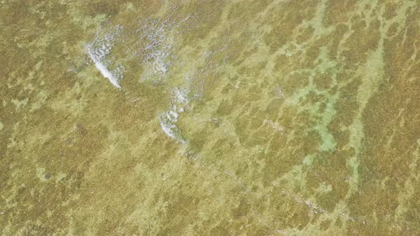 Aerial View Looking Straight Down On Reef Clear Water Hawaii Background alt