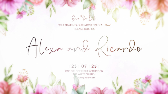 Wedding Intro Openers template preview