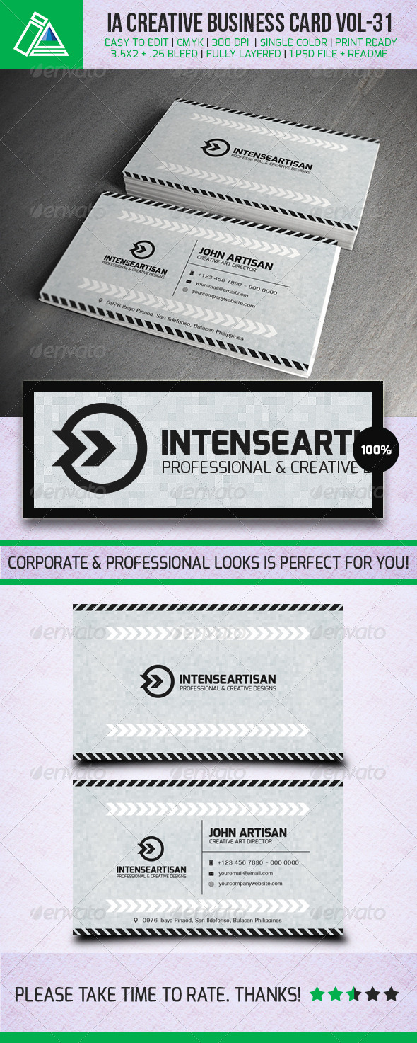 IntenseArtisan Business Card Vol.31 - Creative Business Cards