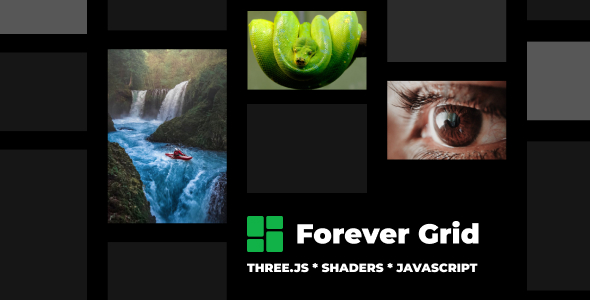 Forever Grid