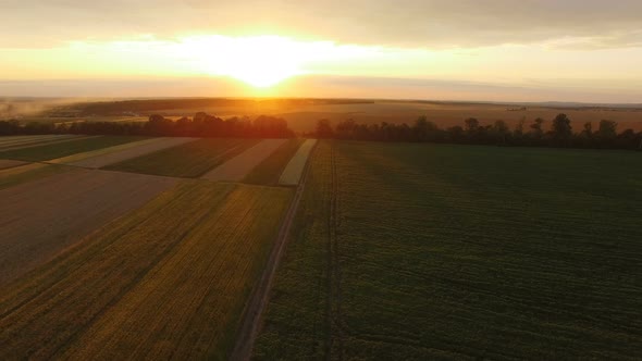 Amazing Huge Sunset on Fields Horizon. Aerial View alt