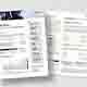 Fact Sheet Template 