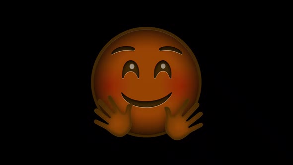 Emoji Diversity Hugging 13