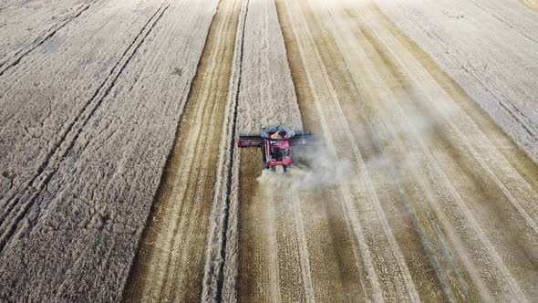 Combine harvester harvests grain in the field in summer. Aerial View Of Harvesting.