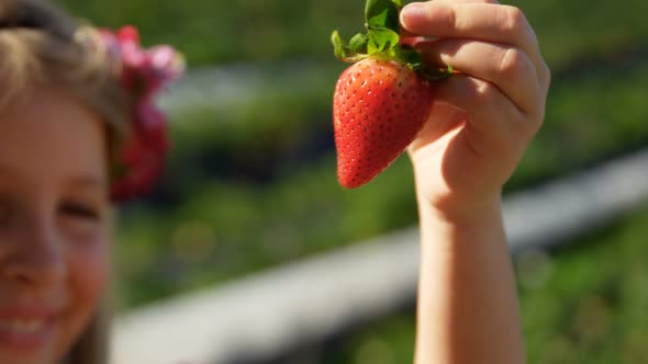 Girl holding strawberry in her hand at farm 4k alt