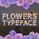Field Flowers Typeface and Transition - VideoHive Item for Sale