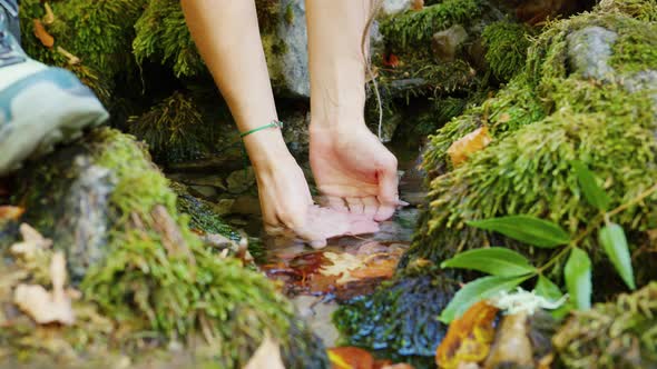 Female Hands Scoop Up Clear Water From Spring alt