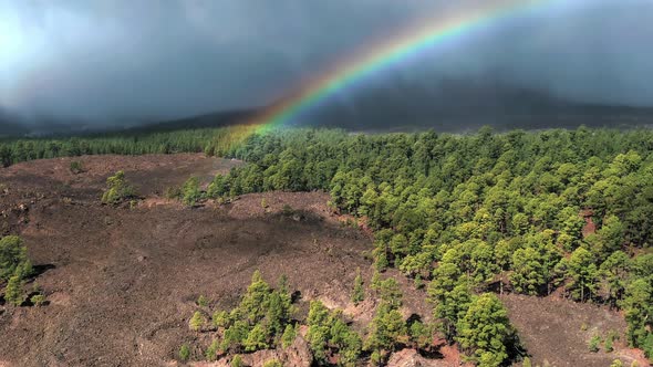 Rainbow over The forest in the Mountains