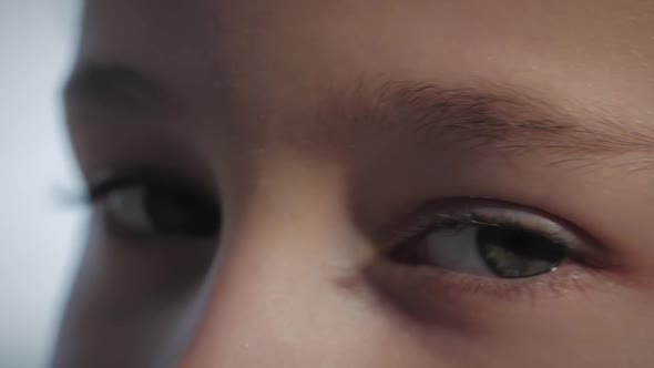 Portrait of a Funny Little Girl Looking at Camera, Close Up Eye, Sunny Summer Day, Cute Baby Face of alt