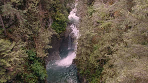 Tilt up shot revealing a small river and a cascade surrounded by woodland in Vancouver alt